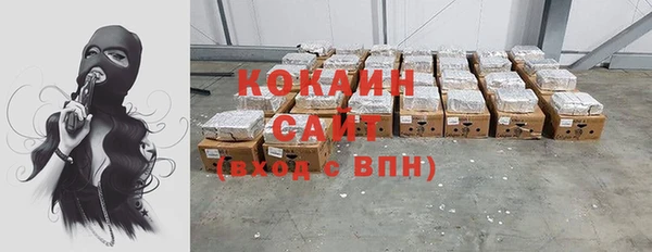 сатива Баксан