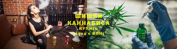 сатива Баксан