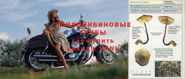 гидра Балабаново