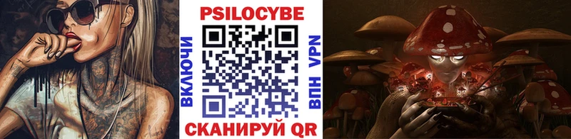 кракен как зайти  где купить наркотик  Южа  Псилоцибиновые грибы ЛСД 